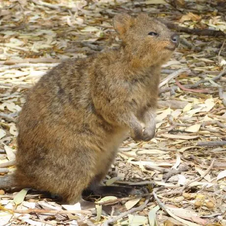 Image of Jorg Thalheim